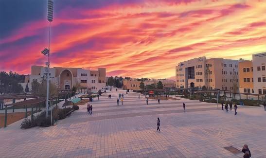 جامعة الحسين بن طلال ، وتقع جامعة الحسين بن طلال في محافظة الجنوب ، وتضم العديد من الكليات والتخصصات