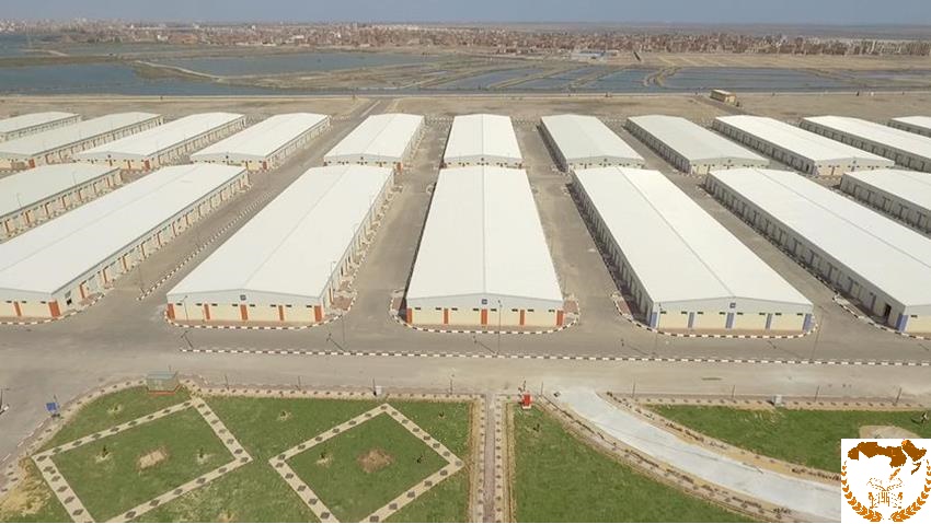 محافظة دمياط