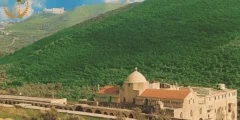 وادي النصارى… لؤلؤة خضراء تروي حكايات الزمن