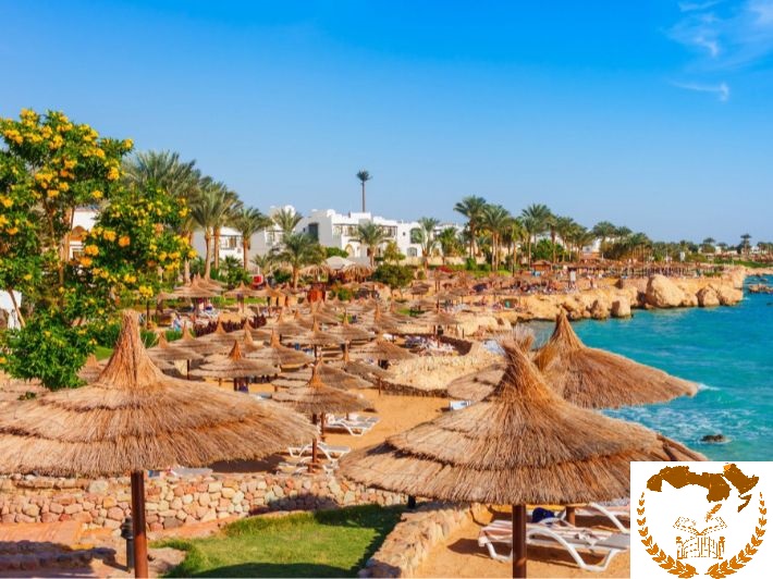 أفضل 5 مطاعم في شرم الشيخ