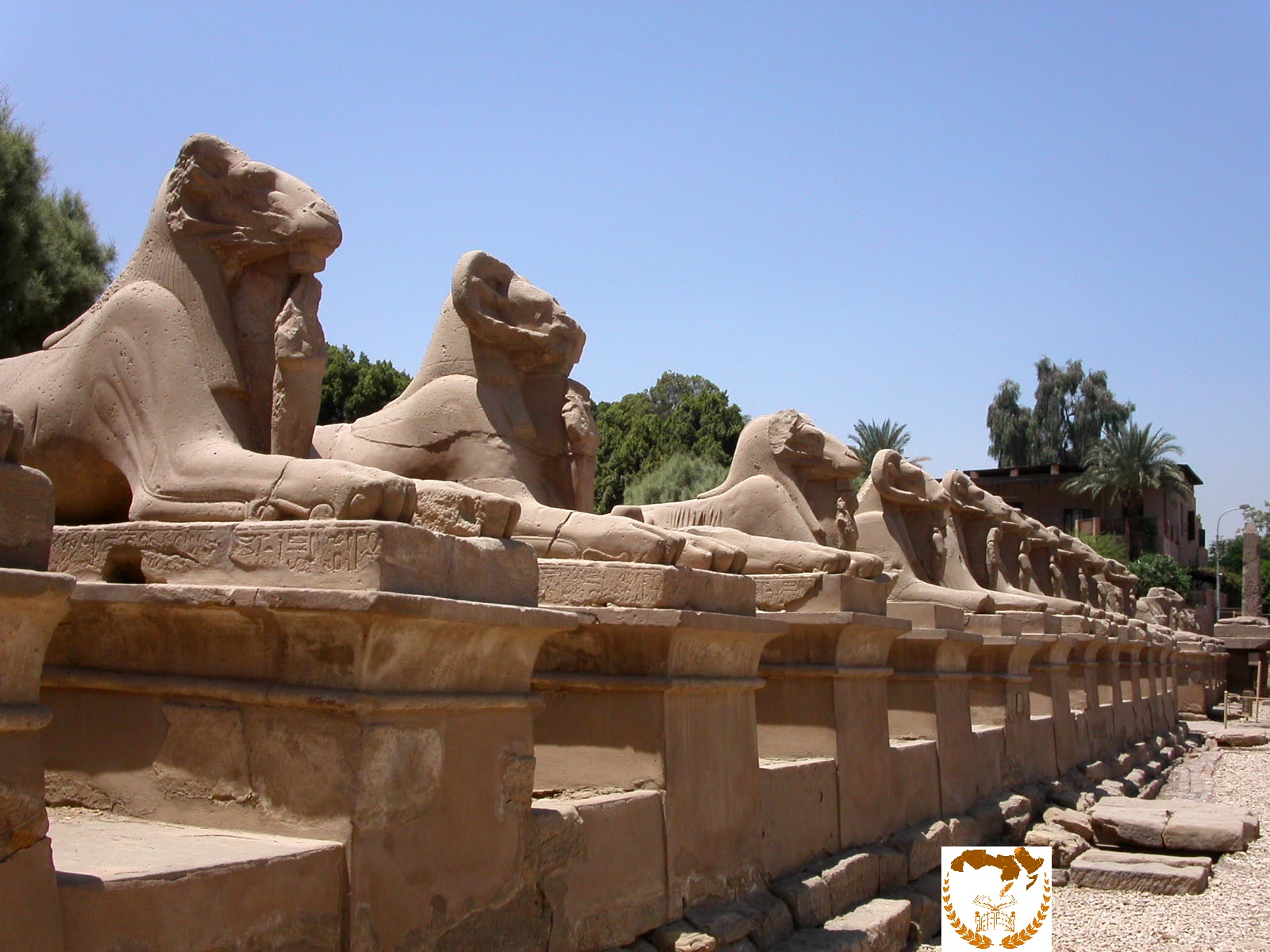 طريق الكباش