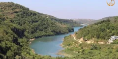 سد الدريكيش في طرطوس… الوجهة الرائعة لعشاق الطبيعة والهدوء