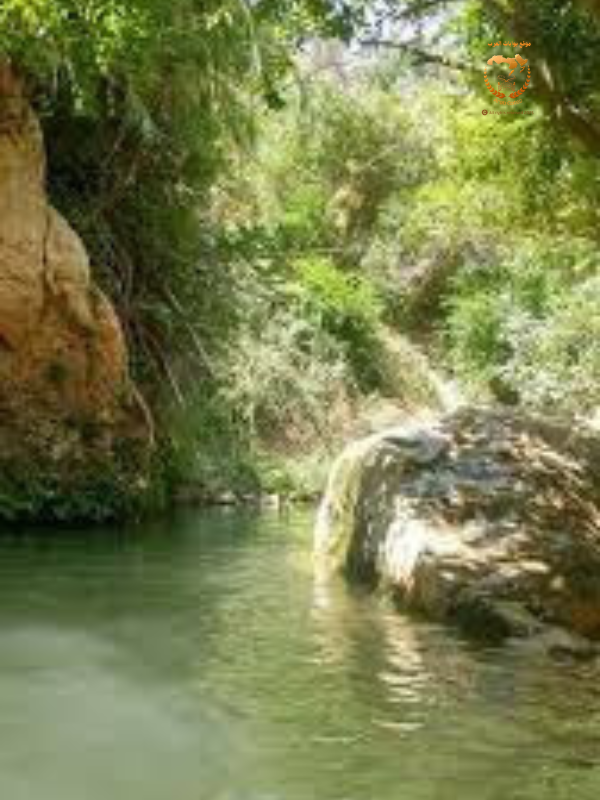 وادي الريان